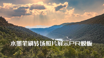 转场高清视频素材水墨笔刷放大转场PR模板