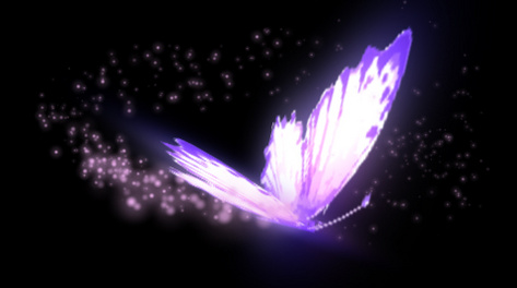 紫色发光蝴蝶粒子光效透明通道