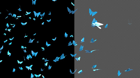 炫彩蝴蝶飞散透明通道视频素材