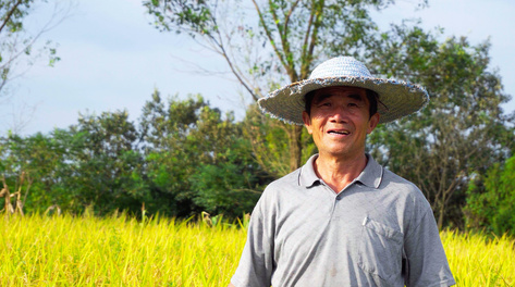 4K实拍农民站在稻田看着镜头微笑