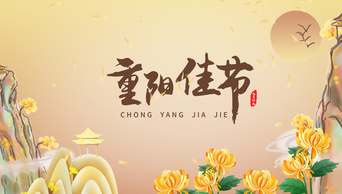 原创中国风菊花九九重阳节登高望远片头ae视频模板