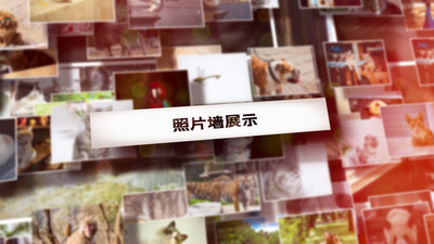 照片墙高清视频素材三维空间照片墙相片汇聚相册展示ae模板