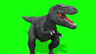 抠像霸王龙动物行走展示合成素材