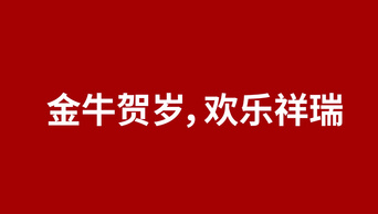 简洁大气新年祝福文字快闪字幕ae模板