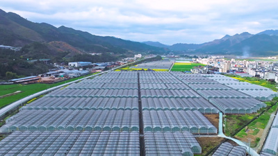 现代农业科技园大棚种植基地4k航拍实拍视频素材