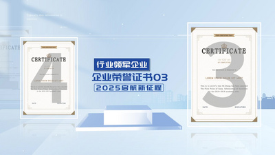 蓝色企业荣誉证书展示动画AE模版视频素材