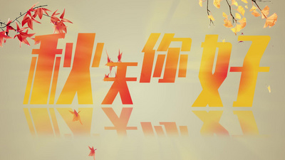 春天高清视频素材秋天唯美金秋落叶飘屏视频素材