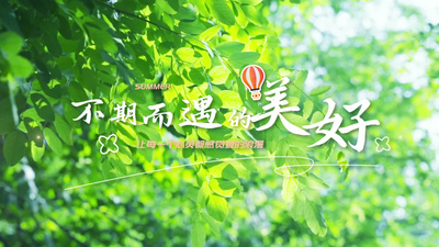 唯美标题质感片头AE模板视频