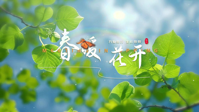 春天自然植物实拍结合文字特效AE模板视频