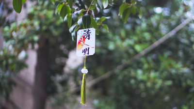 4K实拍清明节传统节日24节气日清明实拍素材