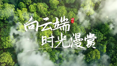 春天高清视频素材清新明亮春天游玩片头AE模板视频