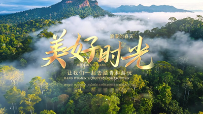 清新标题春日旅行动画AE模版视频素材