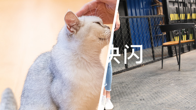 转场高清视频素材时尚转场快闪图文视频pr模板
