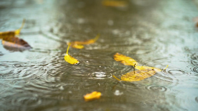 1080P唯美下雨天雨滴滴落水面激起水花意境视频升格