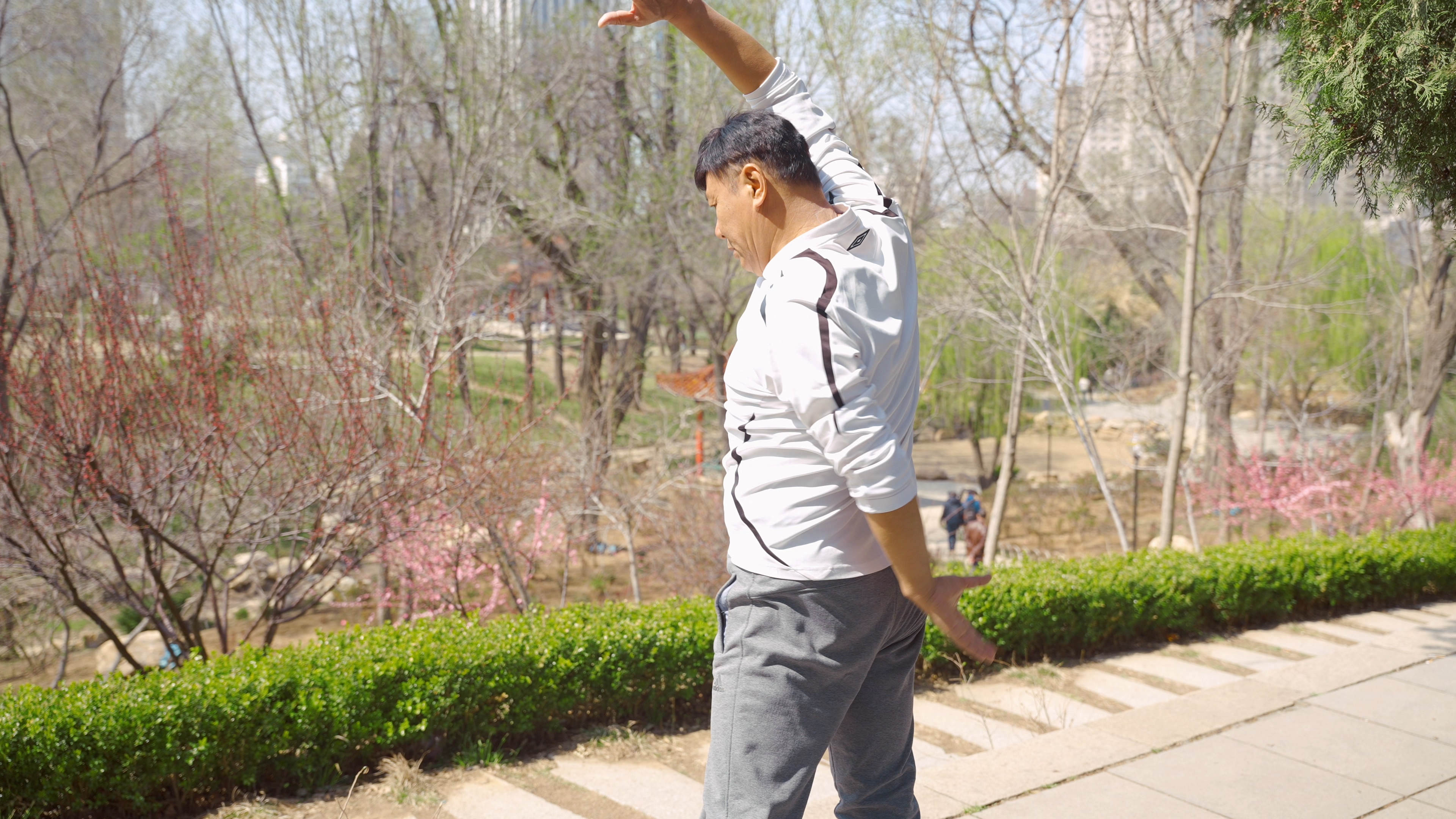 老人在公园锻炼前伸伸手、手臂。快乐的亚洲老年夫妇享受晨练户外。照片摄影图片_ID:354281329-Veer图库