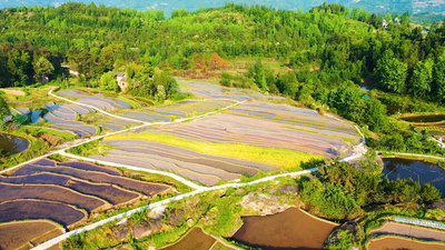 4K航拍唯美农村乡下梯田风景风光视频