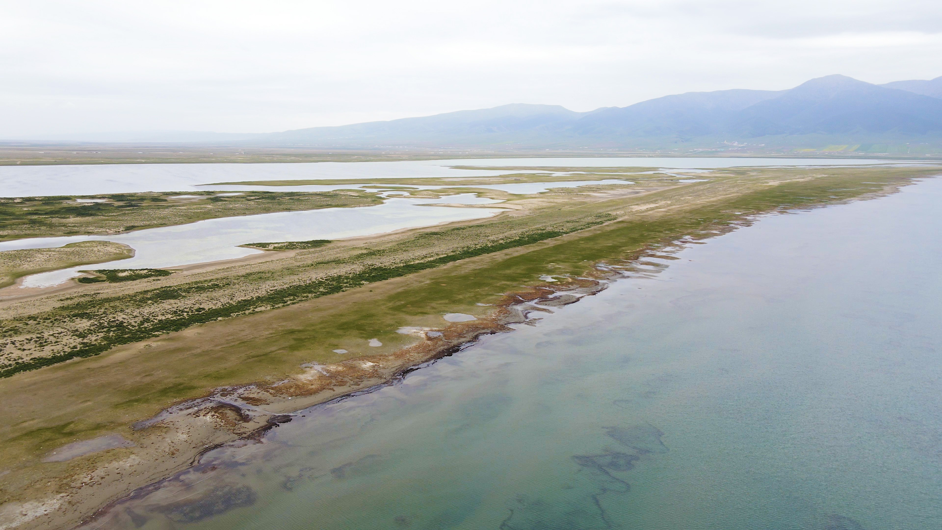 青海省青海湖自然生态系统4k航拍自然风景