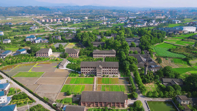 4K航拍乡村田园乡村振兴美丽乡村新农村经济建设