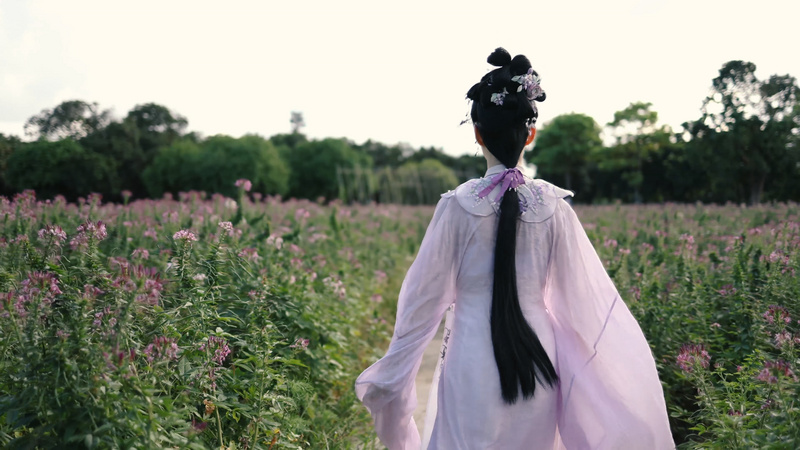 4k古风汉服美女在醉蝶花海中奔跑背影古风古装美女