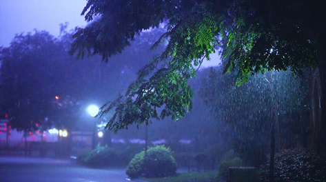 4k实拍夏季雷雨大暴雨夜景风光打雷下雨城市夜晚下雨素材视频街道