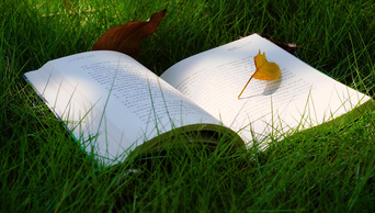 4k实拍唯美治愈系阳光下落叶掉落书本翻页意境空镜