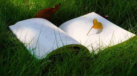 4k实拍唯美治愈系阳光下落叶掉落书本翻页意境空镜