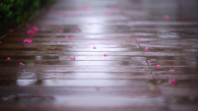 4k实拍唯美治愈系意境下雨雨天雨滴低落木板地面风光