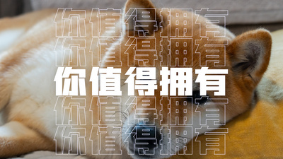 炫酷节奏曲面照片墙文字快闪LOGO展示演绎图文汇聚