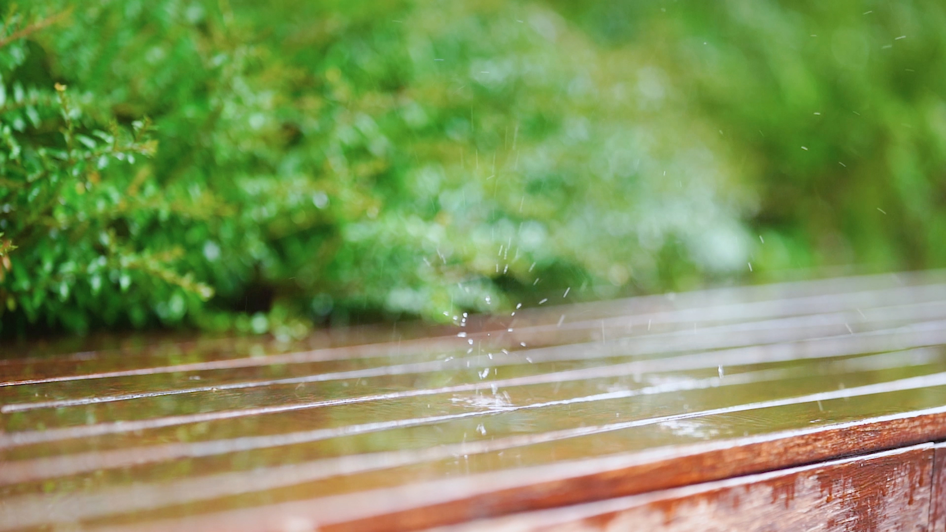 A Soaking Summer Rain | Chresten Tomlin Ministries