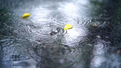 4k实拍唯美下雨天雨水滴落地面水波纹意境风光