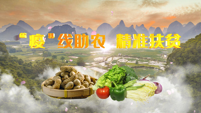 乡村振兴高清视频素材原创精准扶贫乡村振兴AE文字片头模板