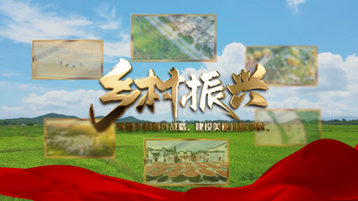 大气乡村振兴宣传视频ae模板
