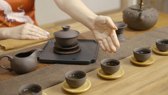 4k敬茶请茶礼仪手势特写