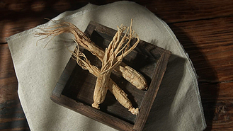 人参何首乌图片_人参何首乌素材-人参何首乌图片大全-千库网