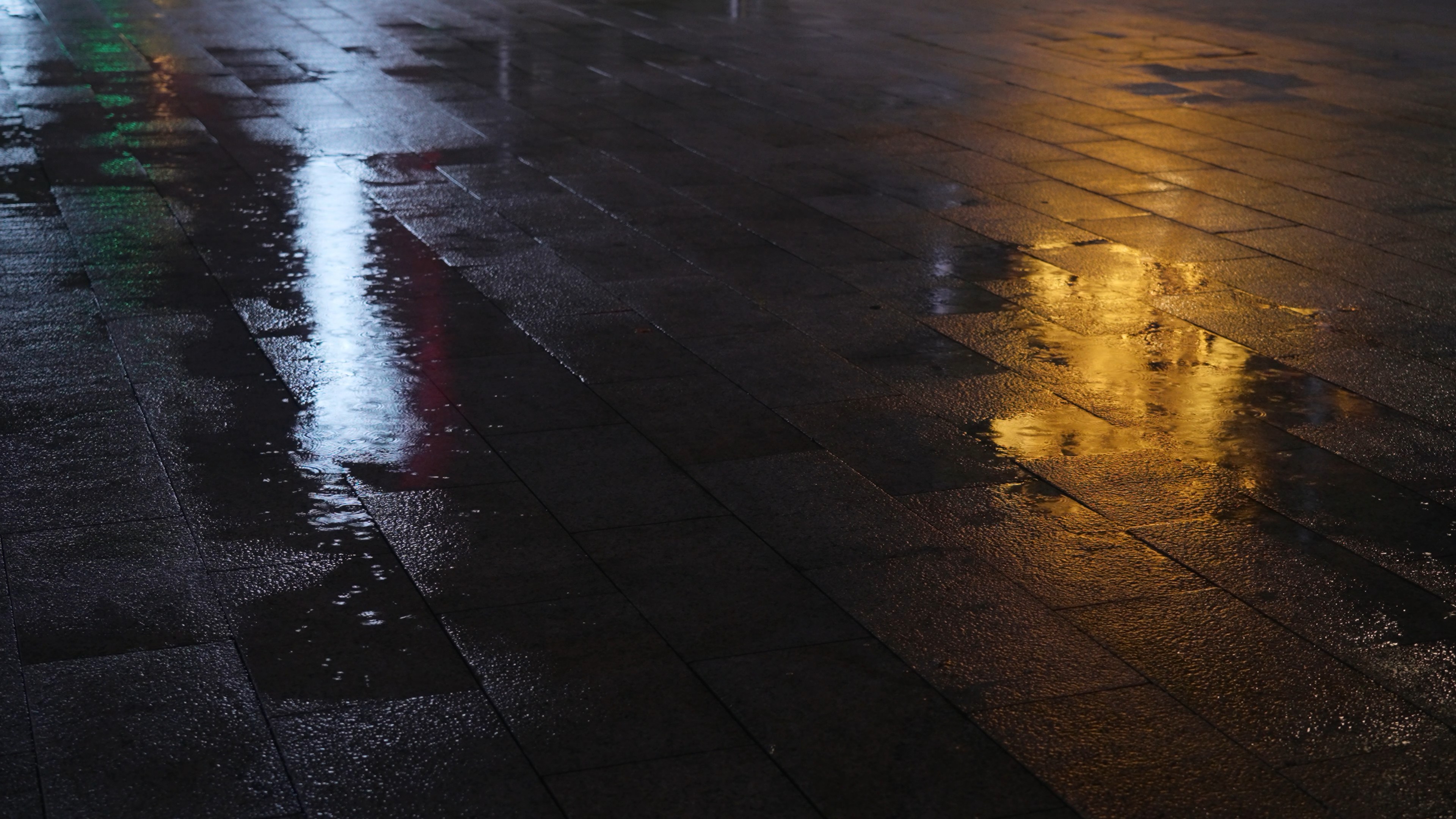 纽约当代艺术博物馆“雨屋”展览 体验不会淋湿的雨中漫步_科教台_中国网络电视台