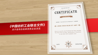 企业文件证书奖状展示ae模板