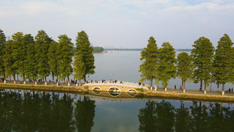 4K航拍武汉东湖游客来往自然风光