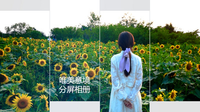 分屏高清视频素材现代时尚vlog分屏相册图文视频pr模板