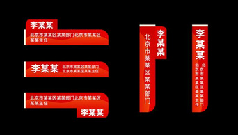 原创党政红金标题栏人名条字幕AE模板