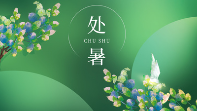 原创简约处暑节气树枝绿色小清新唯美视频片头