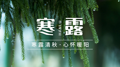 小清新片头高清视频素材原创寒露节气露珠绿色实拍风小清新片头ae模板