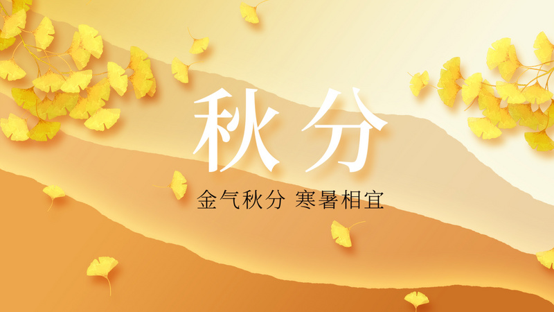 原创秋季秋分节气秋天银杏树枝落叶橘色简约节气视频片头 千库网