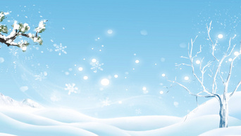 原创冬天雪地松柏蓝色清新冬天到了视频动态背景