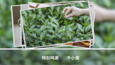 微电影风格照片展示片尾滚动字幕人员名单AE模板