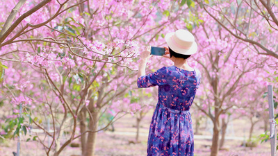 4K实拍春天唯美写意女性拍照动作实拍赏春