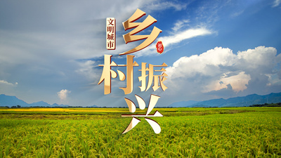 乡村振兴高清视频素材金属文字乡村振兴标题片头ae模板