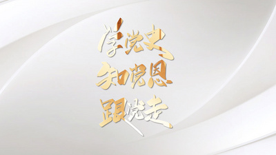 简约大气党政党建宣传文字片头视频pr模板