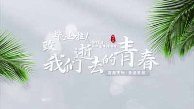 小清新光斑绿叶毕业季标题文字片头ae视频模板