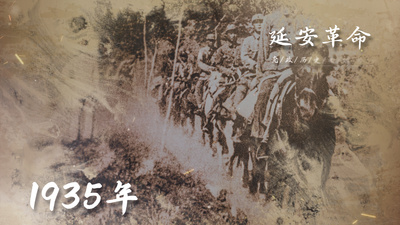 党政党建历史大事记记录水墨晕染照片AE模板