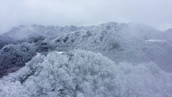 4K高山树林上积满了雪雪景航拍视频